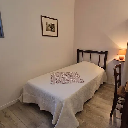Le Tilleul Argente A Sarlat-la-Canéda