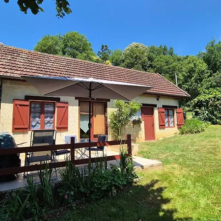Le Tilleul Argente A Sarlat-la-Canéda